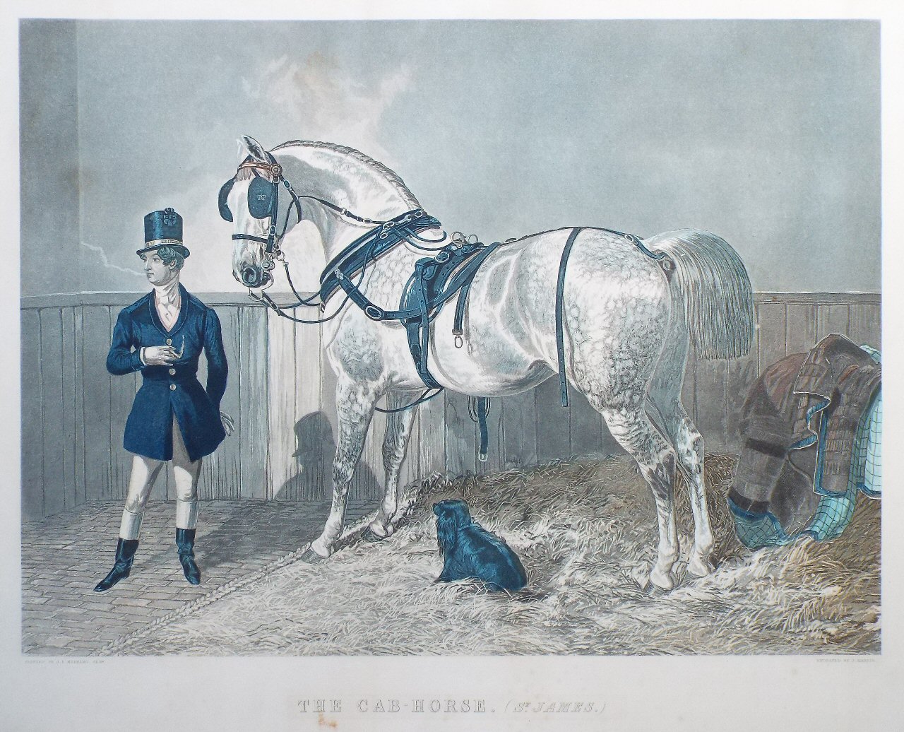 Lithograph - The Cab-Horse. (St.James) - Harris